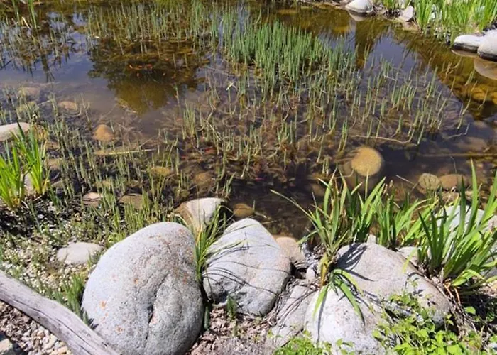 Bubo - Dağ evi Veľký Slavkov