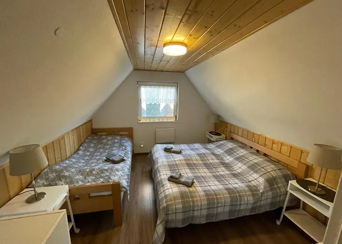Bubo -